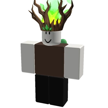 File:PlayerAvatar-3290734169-753ae4d36774.webp