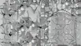 Thumbnail for version as of 17:12, 5 October 2026
