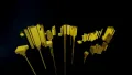 Thumbnail for version as of 14:42, 5 October 2026
