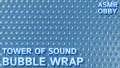 Thumbnail for version as of 06:53, 18 November 2025