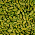 Thumbnail for version as of 00:24, 15 July 2026