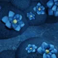 Thumbnail for version as of 14:16, 5 October 2026