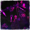 Thumbnail for version as of 06:22, 12 July 2026