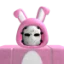 Zrkpiment