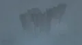 Thumbnail for version as of 15:25, 5 October 2026