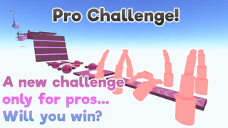 Pro Challenge (Inactive)